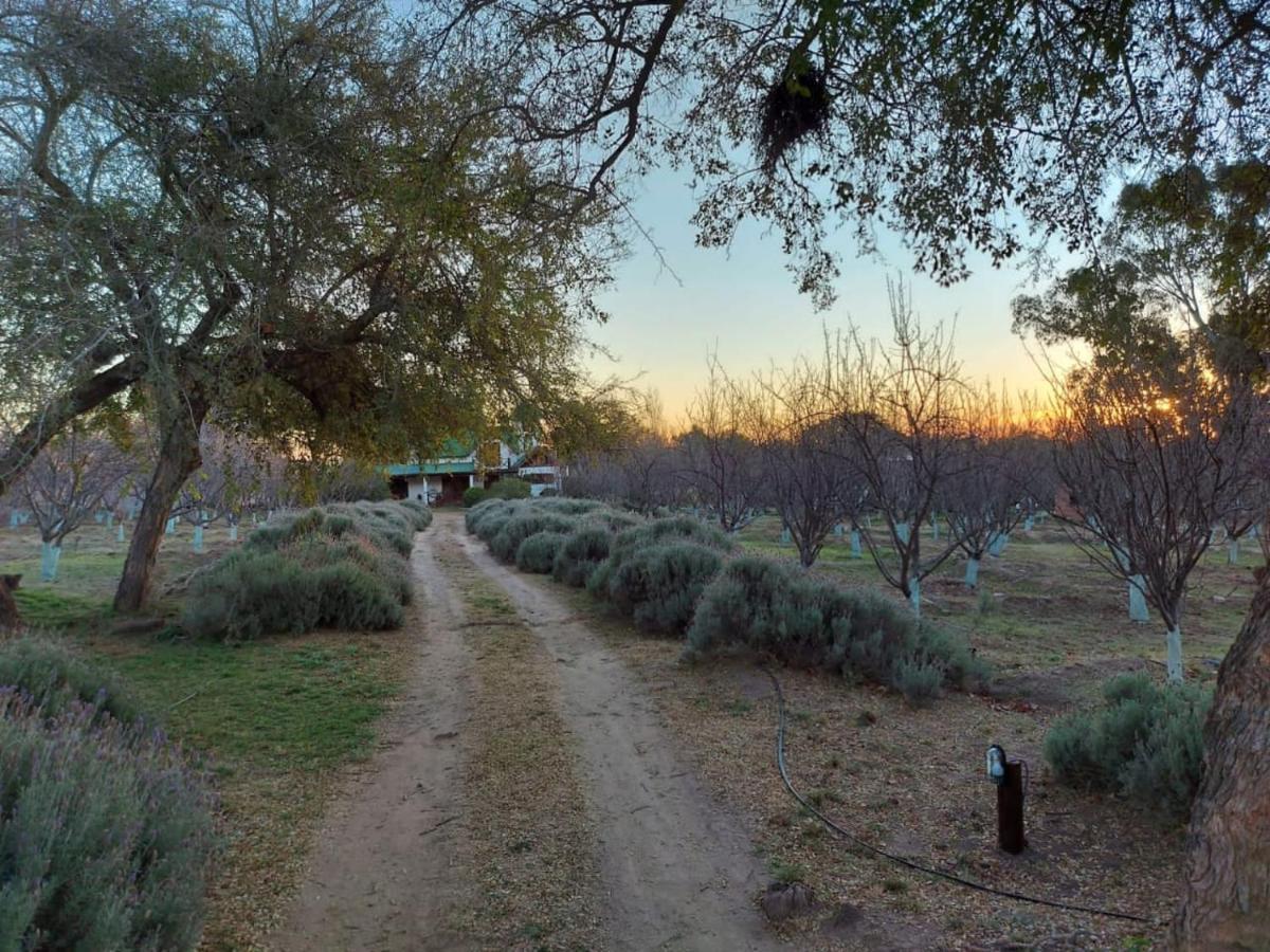 Finca La Julia Luyaba Εξωτερικό φωτογραφία