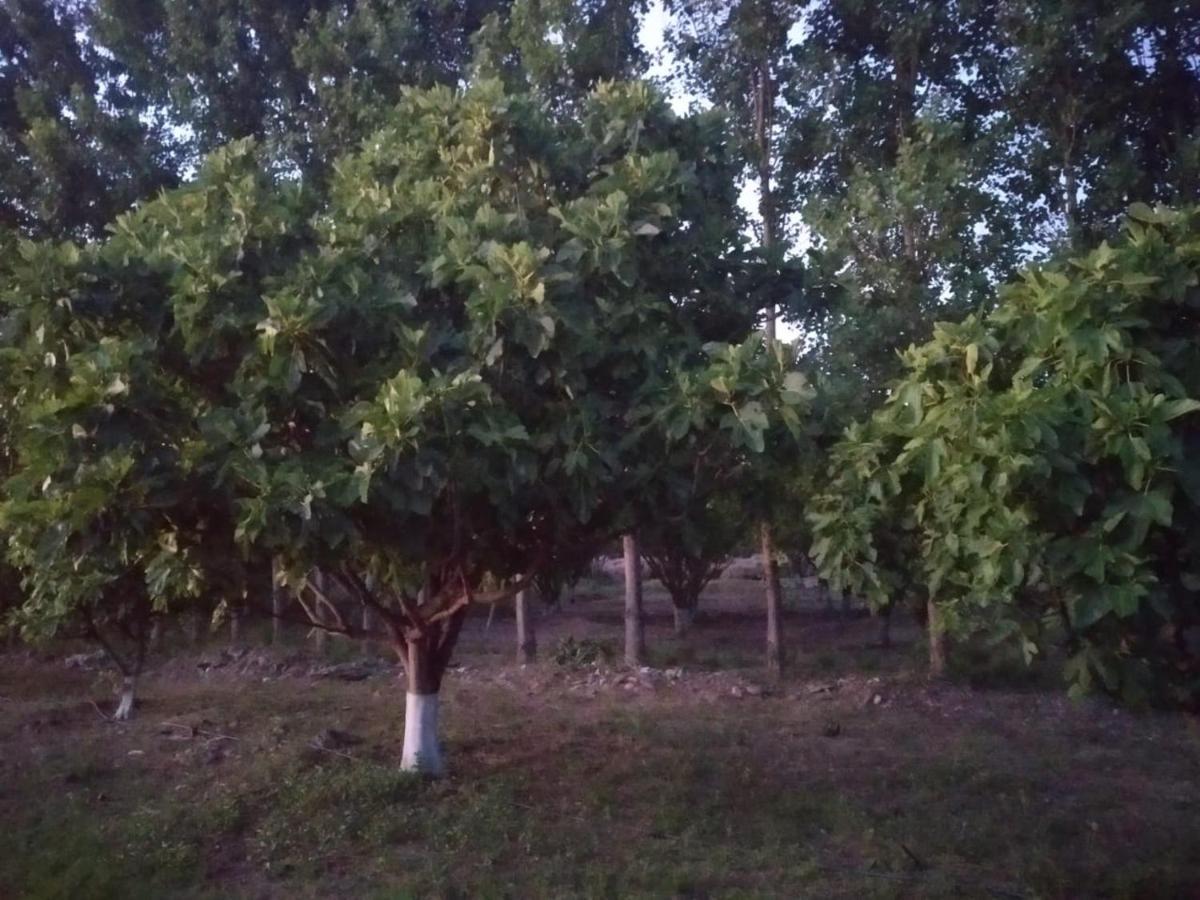 Finca La Julia Luyaba Εξωτερικό φωτογραφία