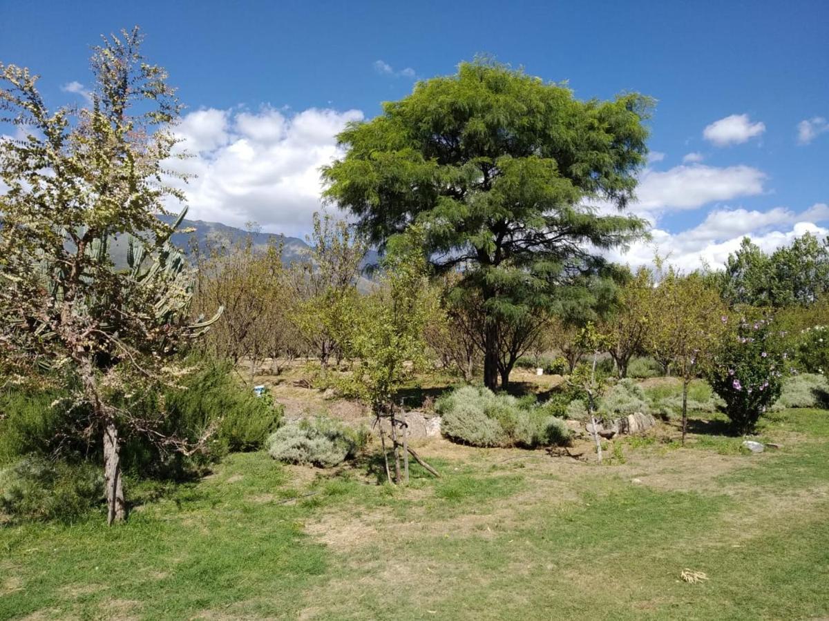Finca La Julia Luyaba Εξωτερικό φωτογραφία