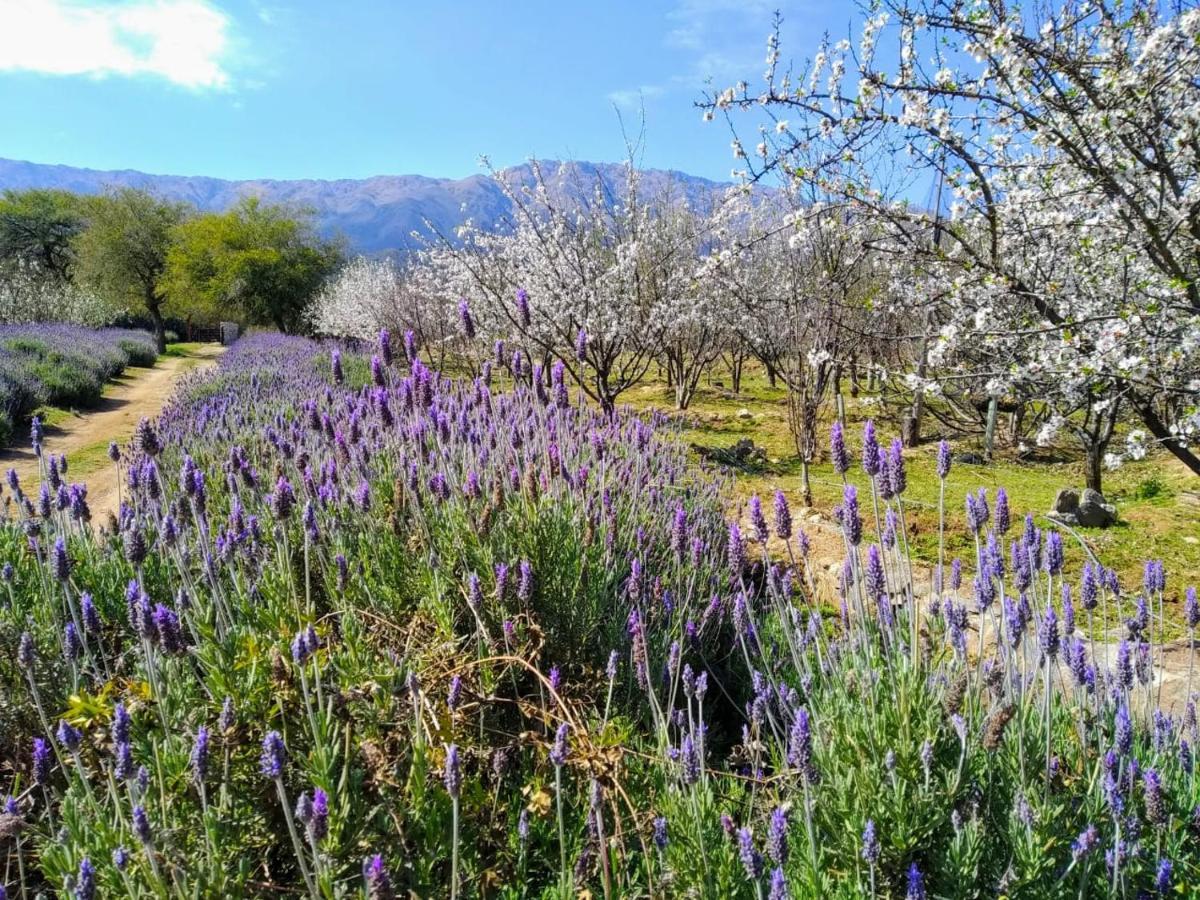Finca La Julia Luyaba Εξωτερικό φωτογραφία