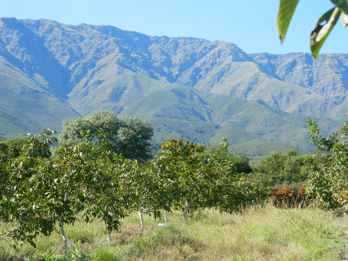 Finca La Julia Luyaba Εξωτερικό φωτογραφία